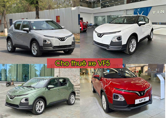 Cho-thue-xe-o-to-dien-5-cho---VF5